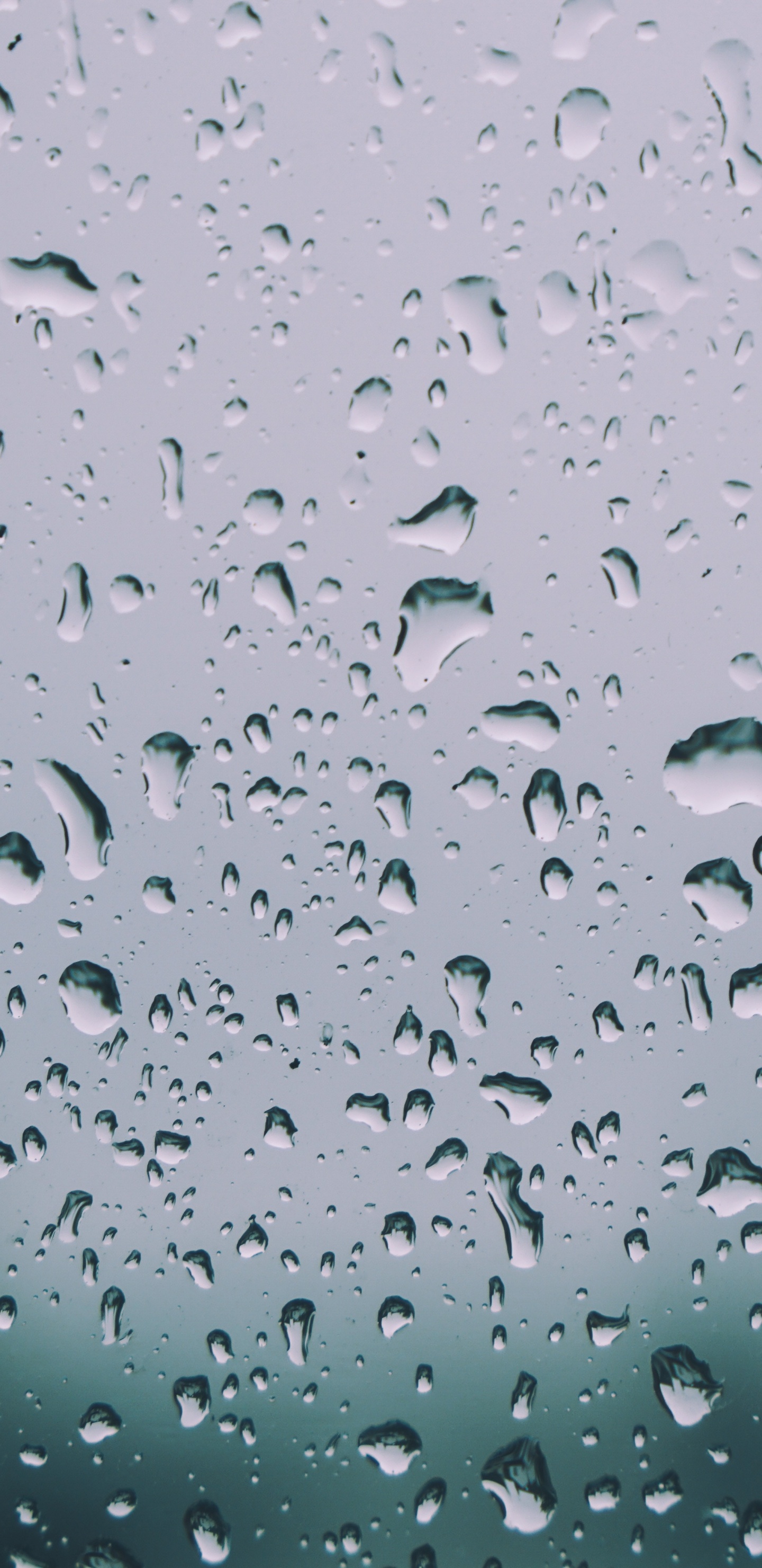 放下, 小雨, 湿气, 降水, 窗口 壁纸 1440x2960 允许