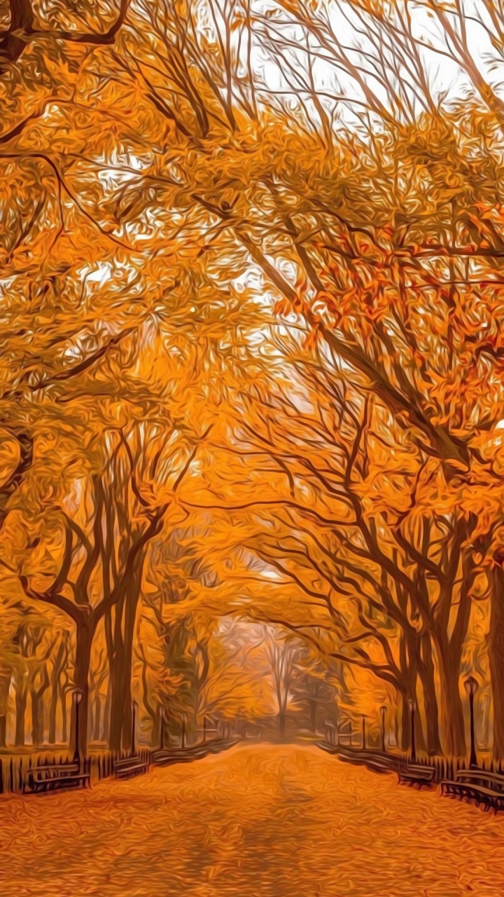 Central Park, Herbst, Tageszeit, Bernstein, Menschen in Der Natur. Wallpaper in 720x1280 Resolution