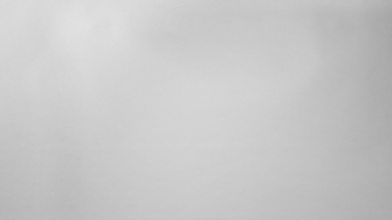 Retrato, Gato, Tabla, Felidae, Carnívoro. Wallpaper in 1280x720 Resolution