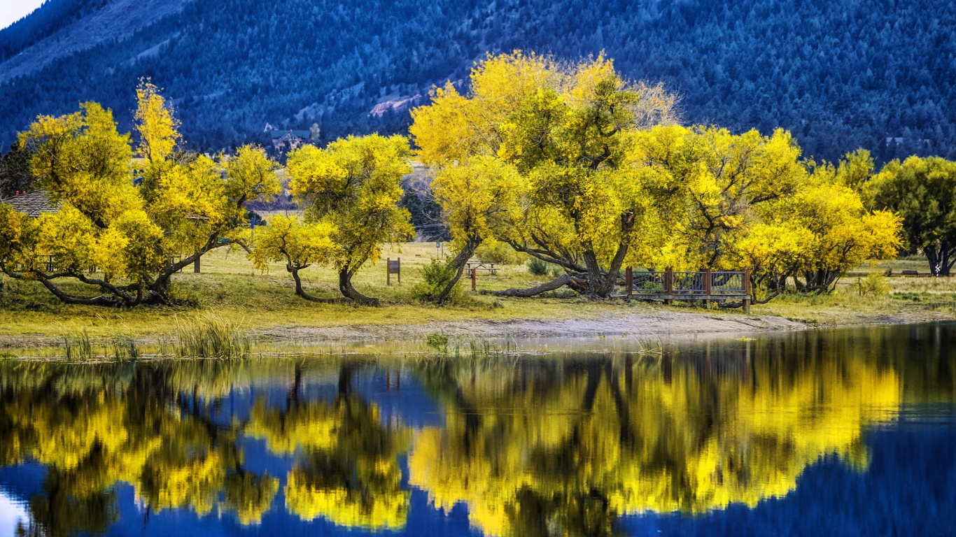 Green Trees Beside Body of Water During Daytime. Wallpaper in 1366x768 Resolution
