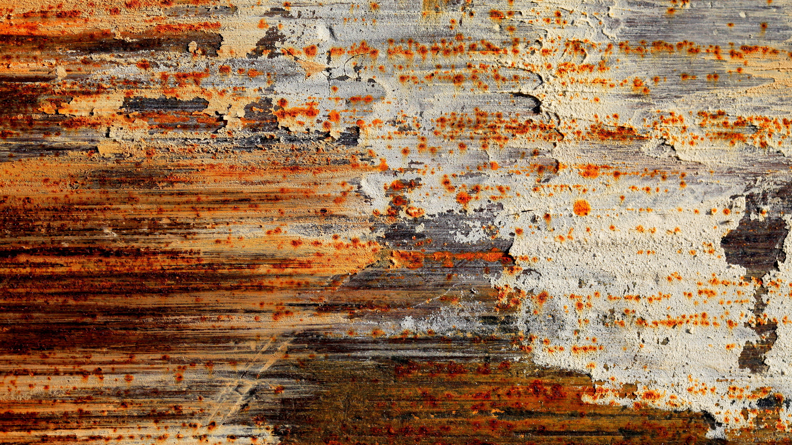 Peinture Abstraite Brune et Blanche. Wallpaper in 2560x1440 Resolution