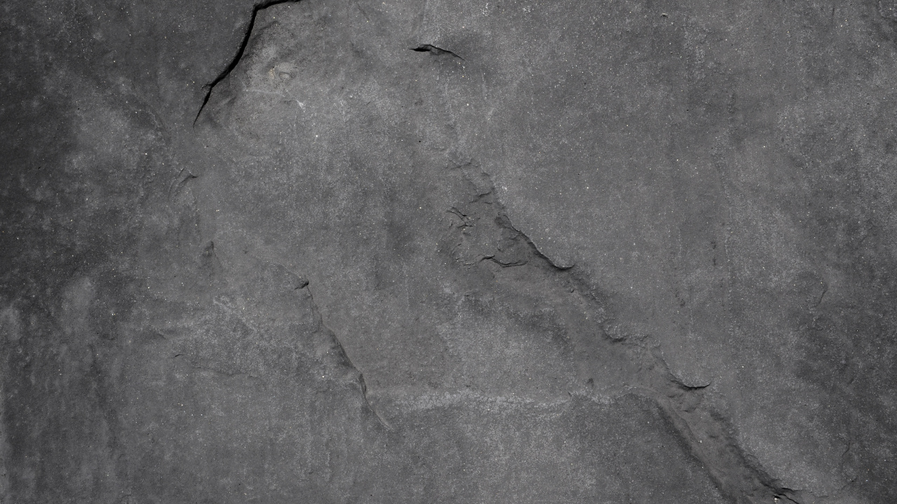 Insecto Negro Sobre Piso de Concreto Gris. Wallpaper in 1280x720 Resolution