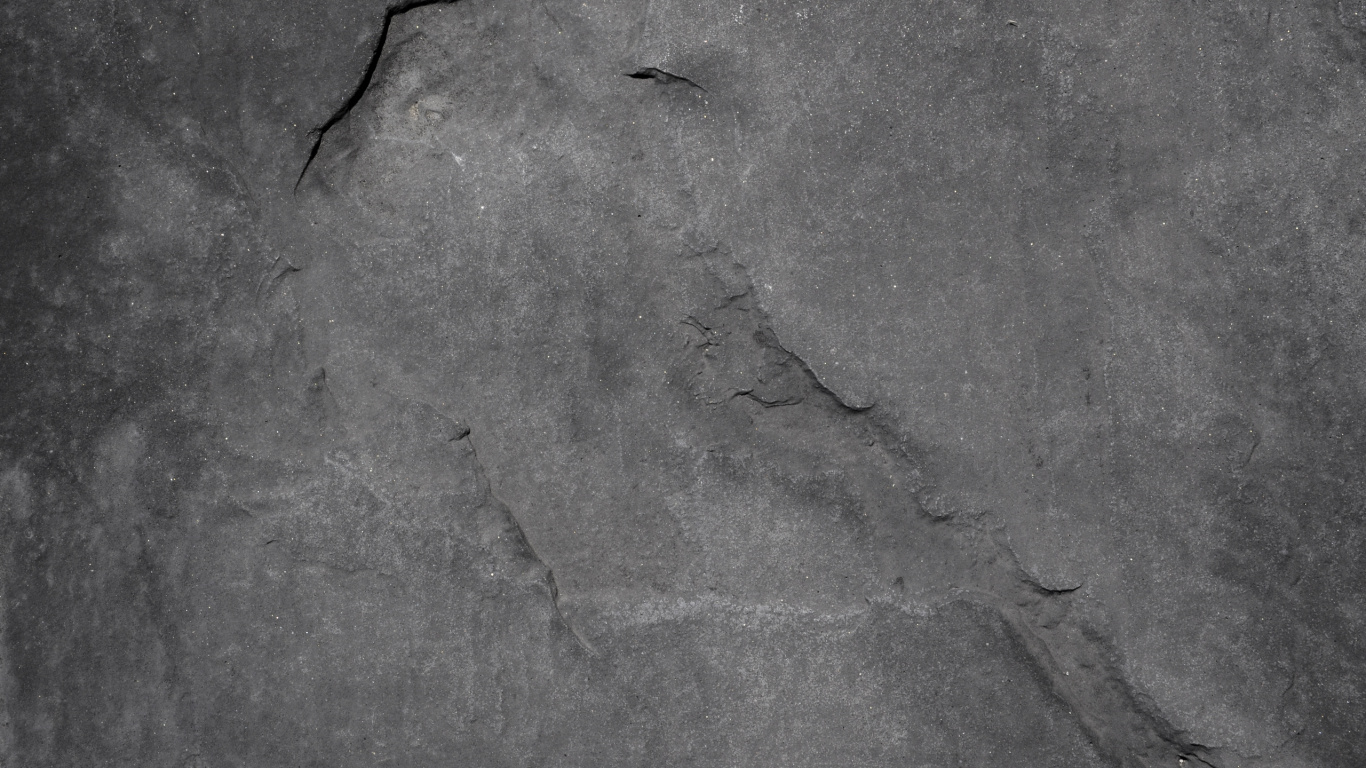 Black Insect on Gray Concrete Floor. Wallpaper in 1366x768 Resolution