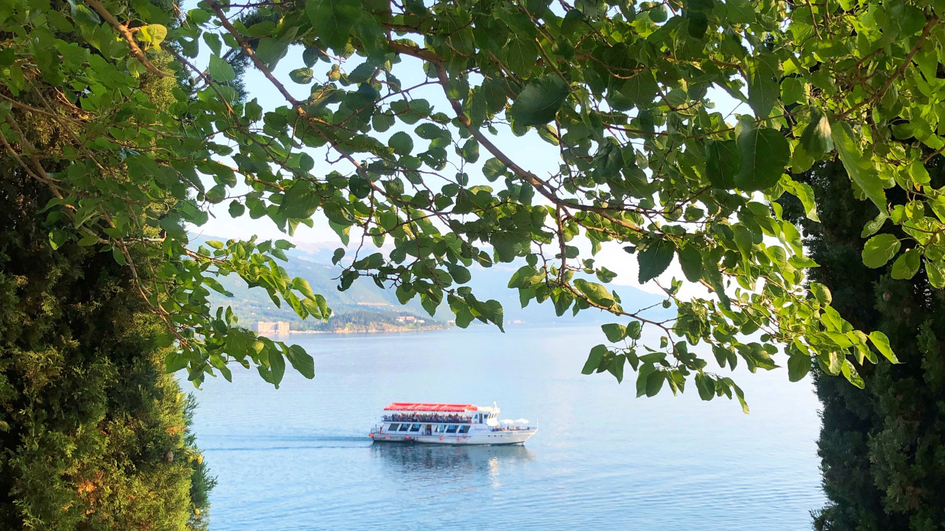 Nature, Feuille, Biologie, Sciences, Plante. Wallpaper in 1366x768 Resolution