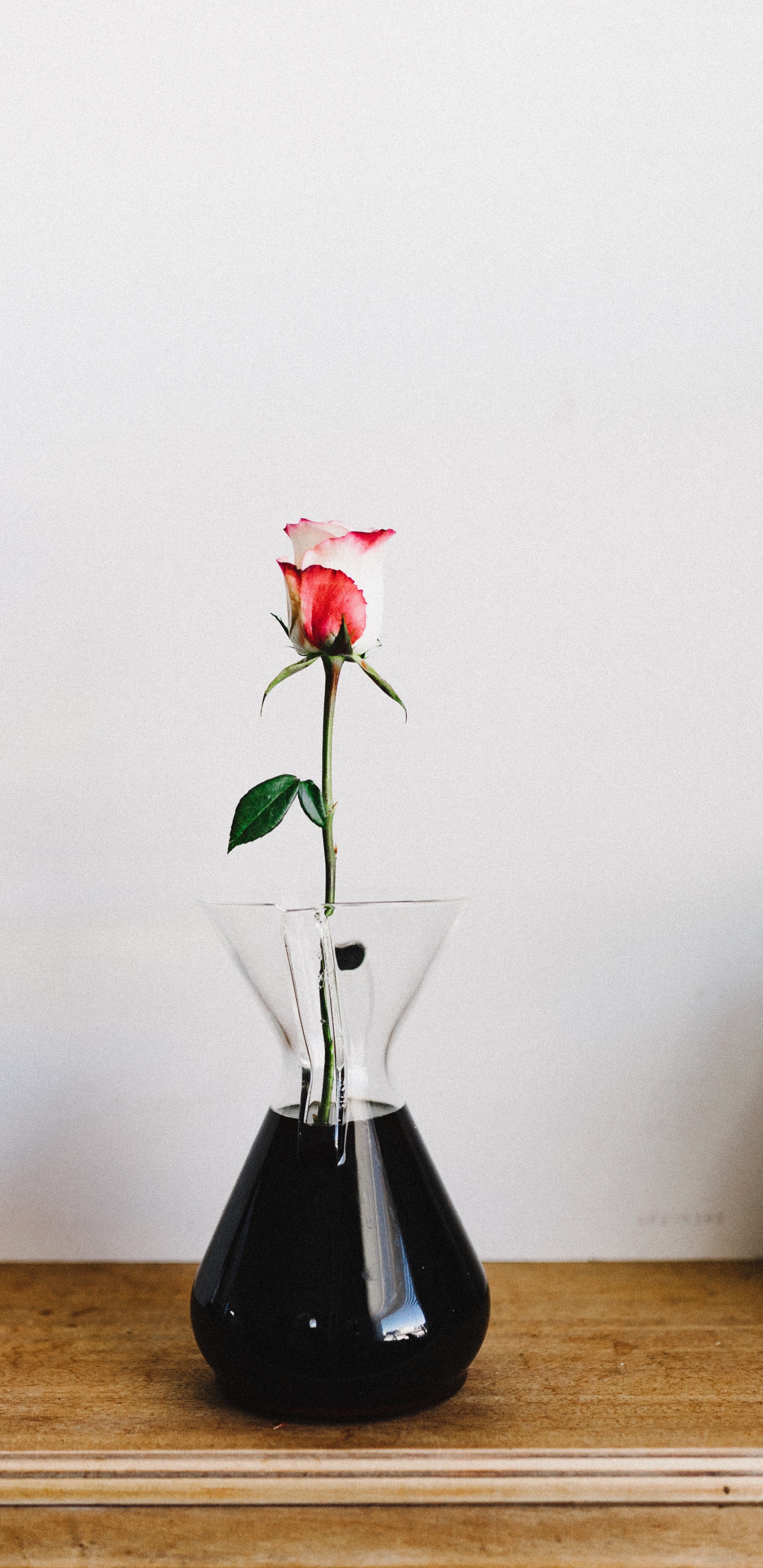 Rose Rouge Dans un Vase en Verre Transparent. Wallpaper in 1440x2960 Resolution