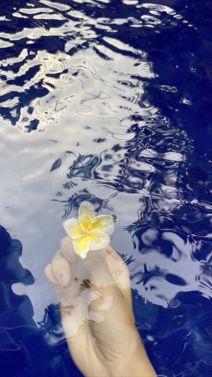 Agua, Ciencia, Líquido, Los Recursos de Agua, Curso de Agua. Wallpaper in 720x1280 Resolution