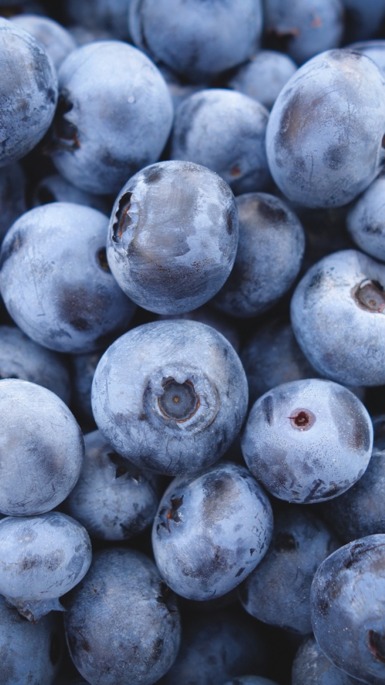 Blaubeeren in Nahaufnahme. Wallpaper in 750x1334 Resolution
