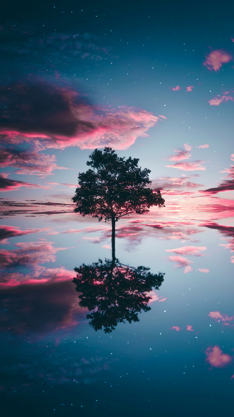 Solitude, Eau, Atmosphère, Nature, Paysage Naturel. Wallpaper in 750x1334 Resolution