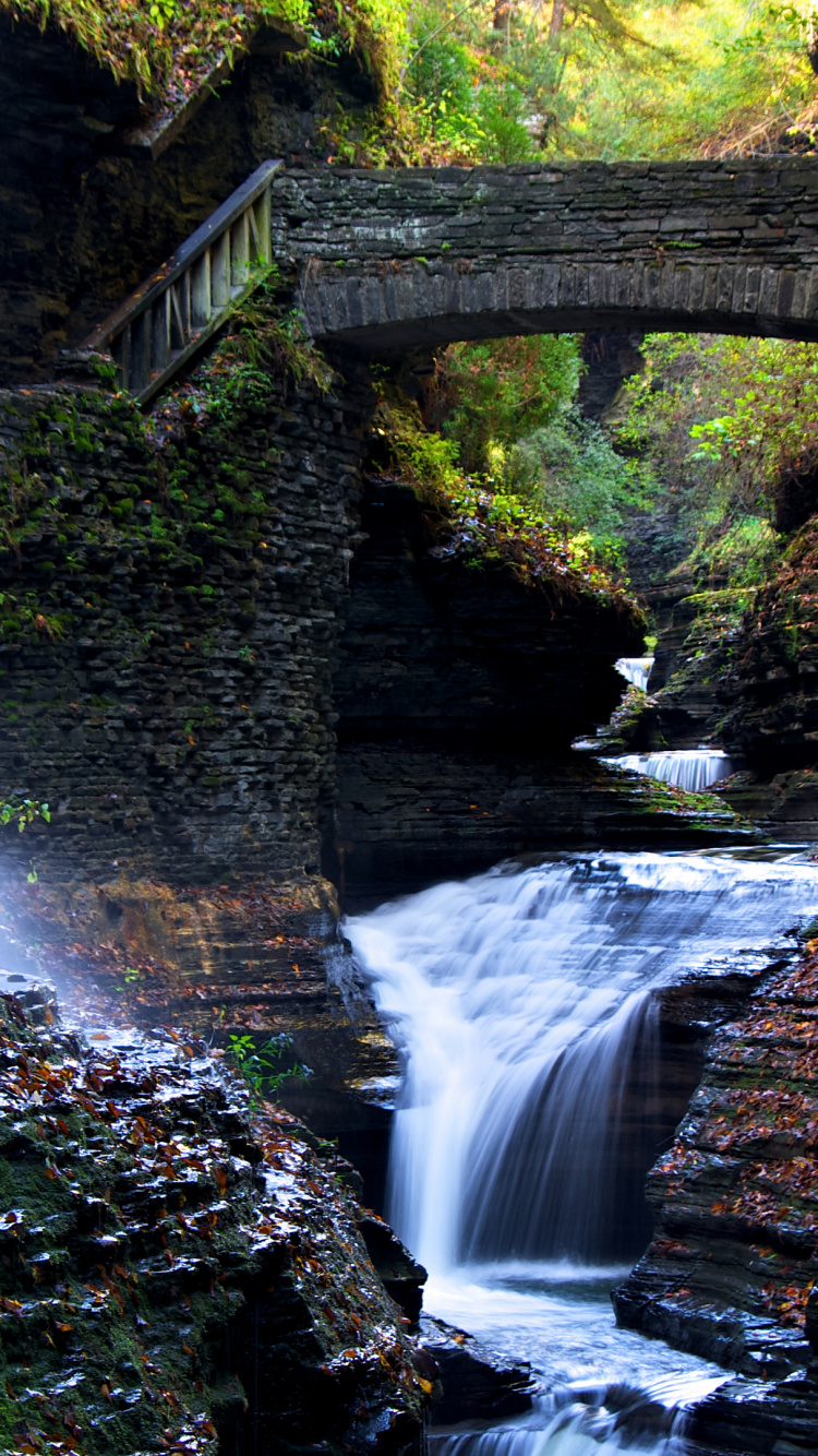 Watkins Glen State Park, Wasserfall, Gewässer, Natur, Naturlandschaft. Wallpaper in 750x1334 Resolution
