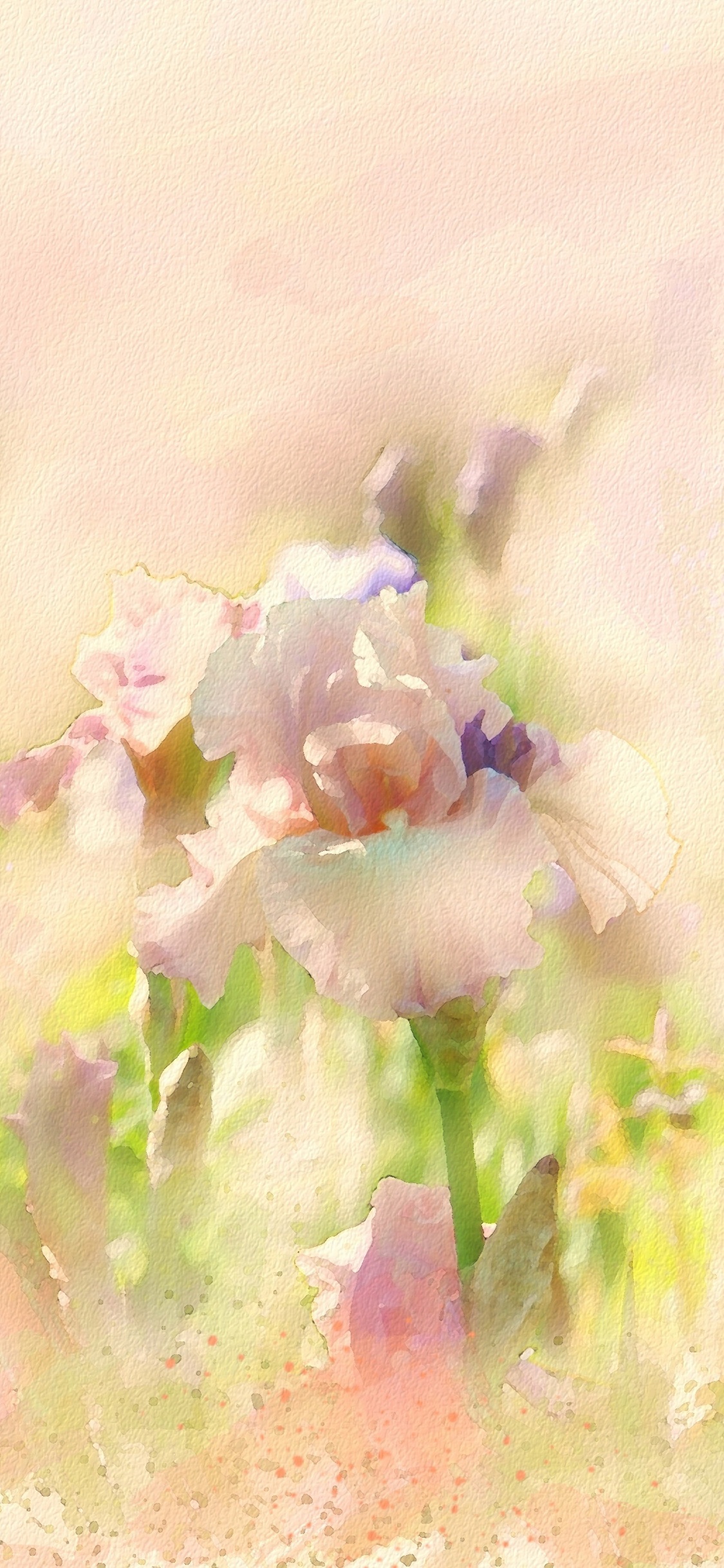 绘画, 弹簧, 艺术, 野花, 水彩画 壁纸 1125x2436 允许