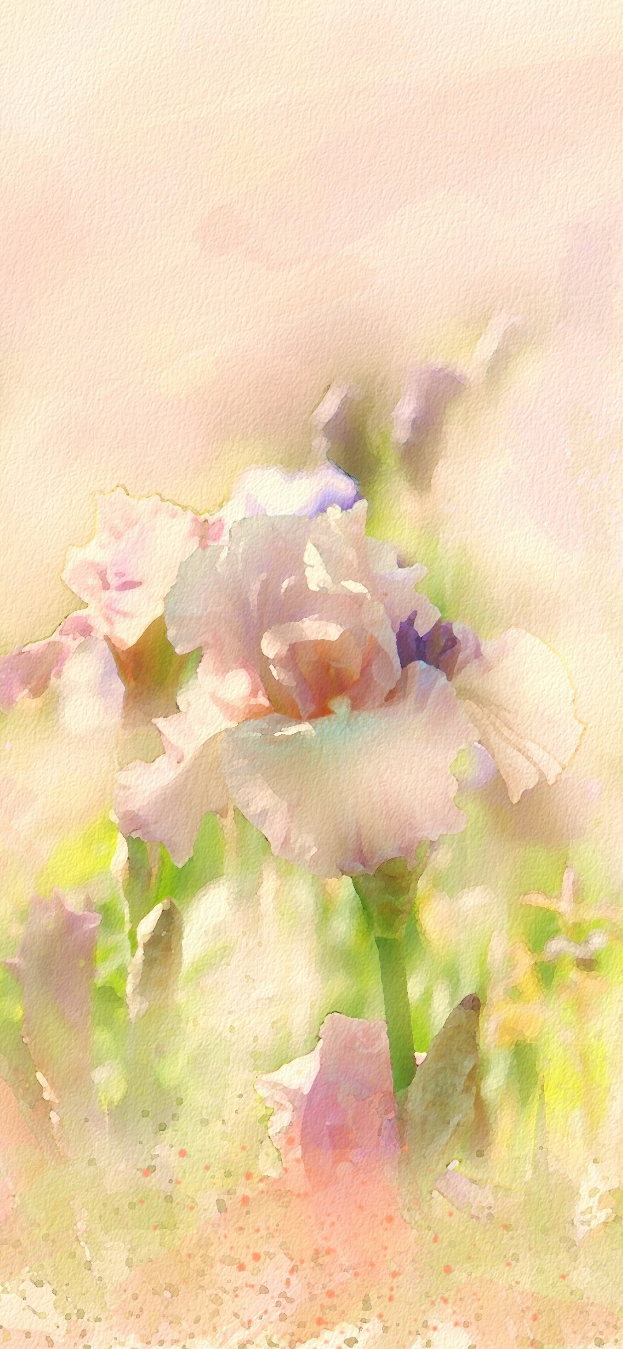 Pétales de Fleurs Blanches et Violettes. Wallpaper in 1242x2688 Resolution