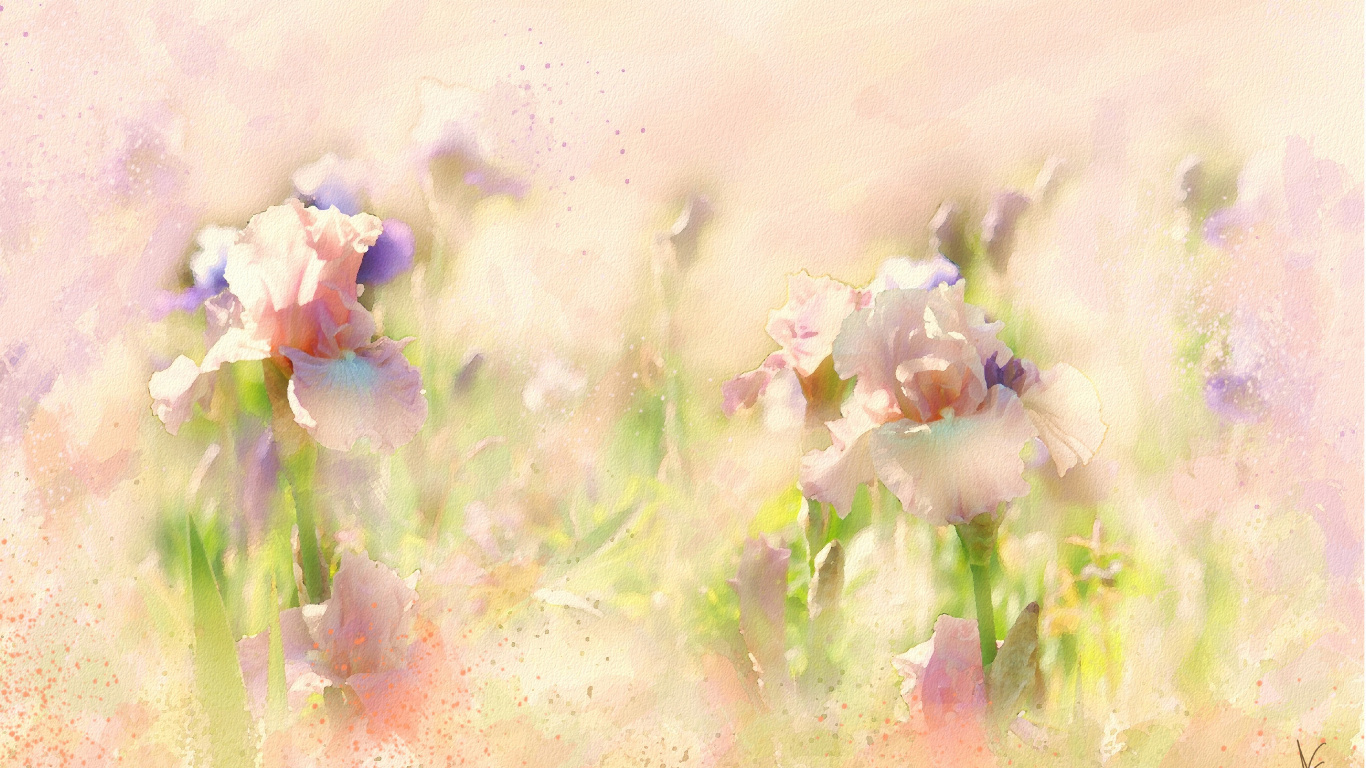 Weiße Und Violette Blütenblätter. Wallpaper in 1366x768 Resolution