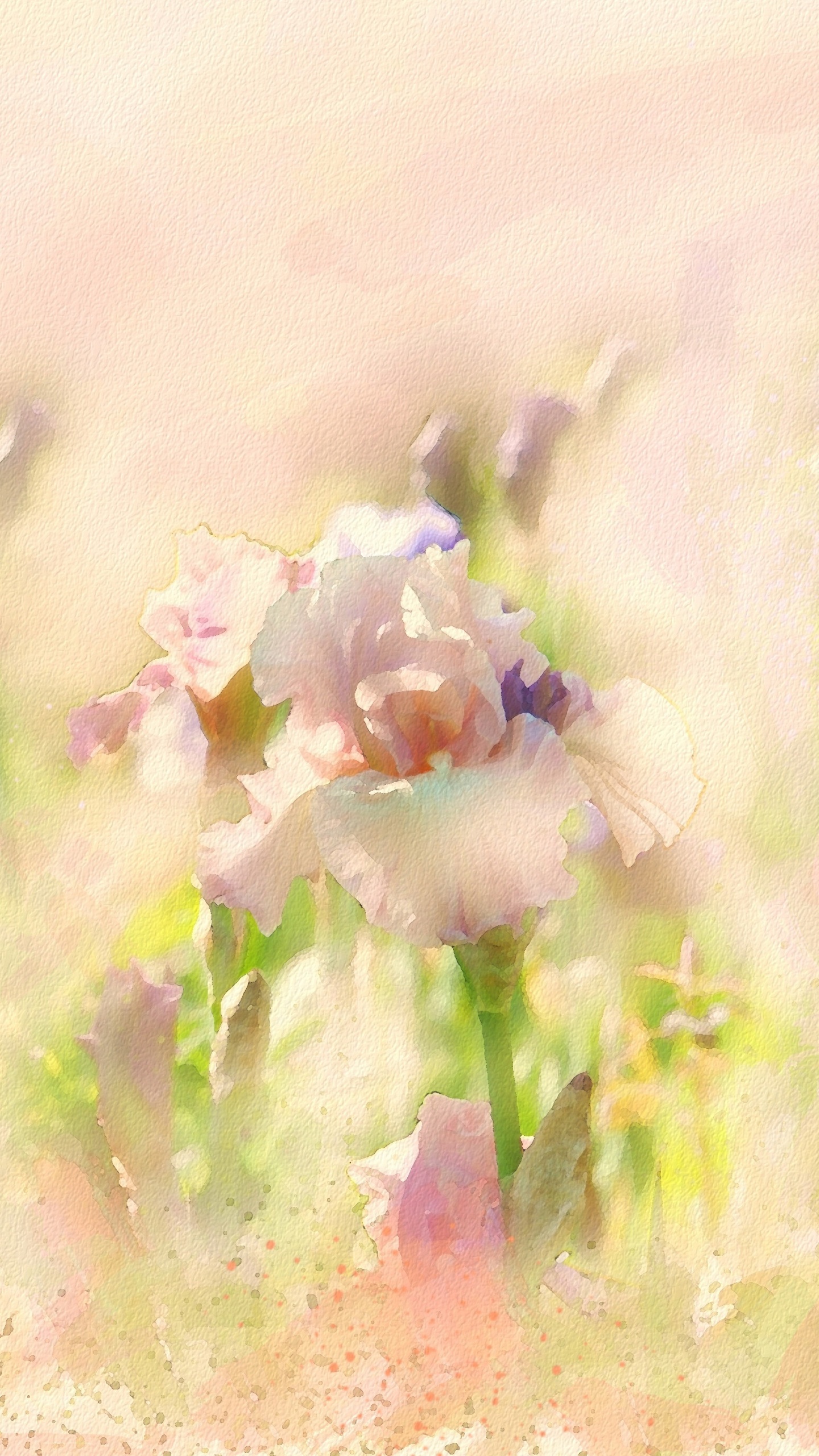 Weiße Und Violette Blütenblätter. Wallpaper in 1440x2560 Resolution