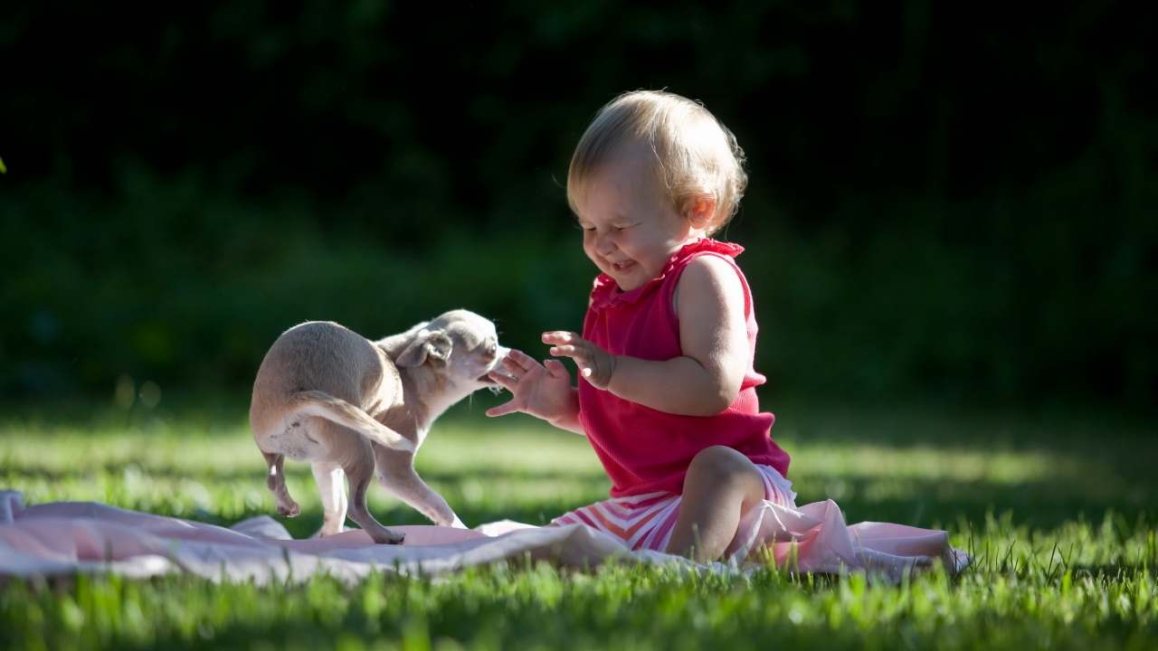 Puppy, Cuteness, Child, Domestic Animal, Fun. Wallpaper in 1280x720 Resolution