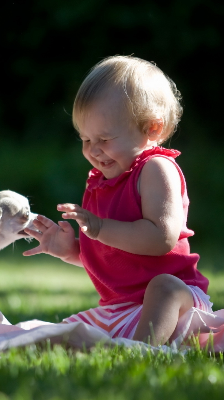 Welpe, Niedlichkeit, Kind, Spaß, Säugling. Wallpaper in 750x1334 Resolution