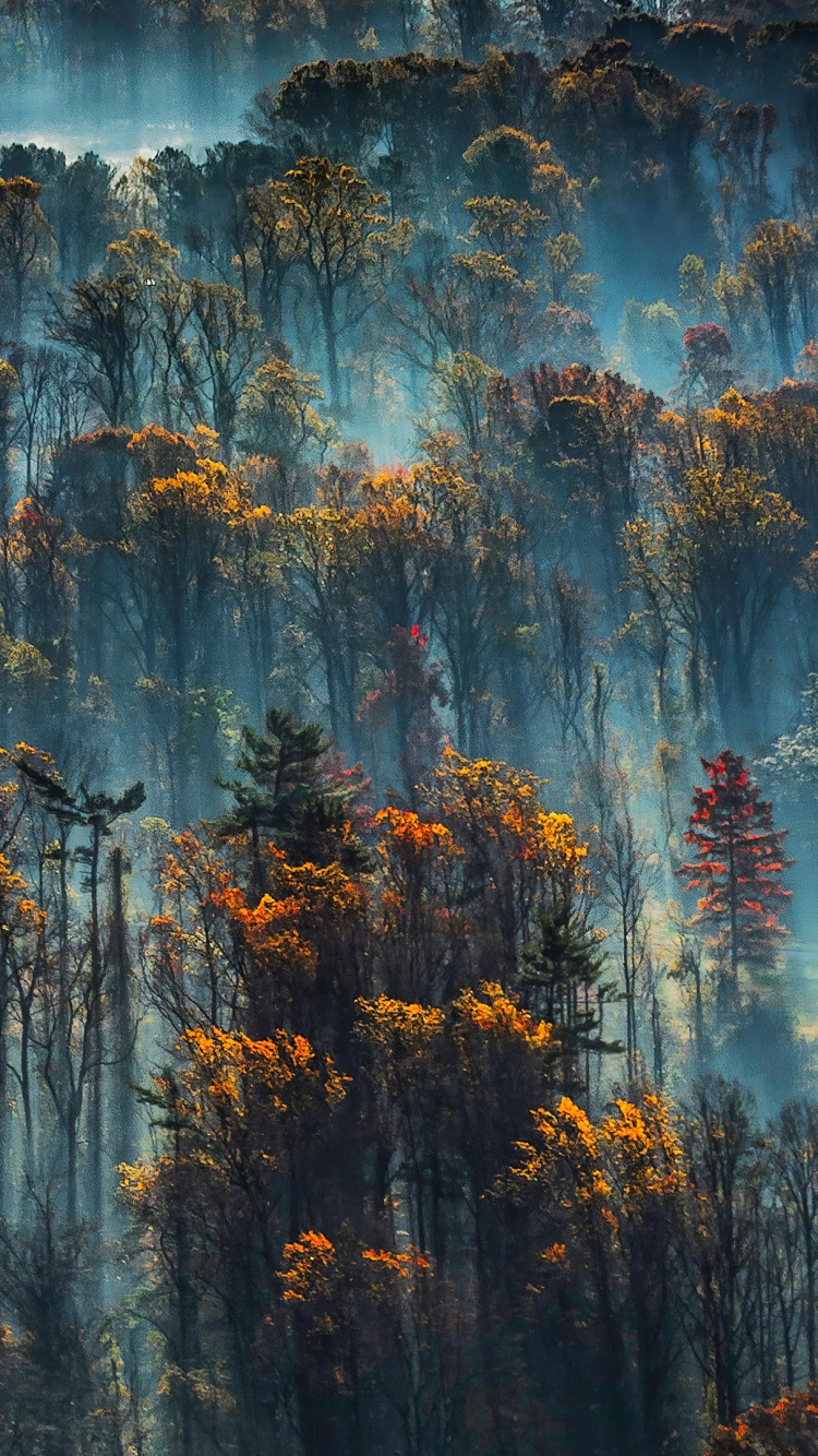 Azul, Agua, Ambiente, la Luz Del Sol, Reflexión. Wallpaper in 750x1334 Resolution