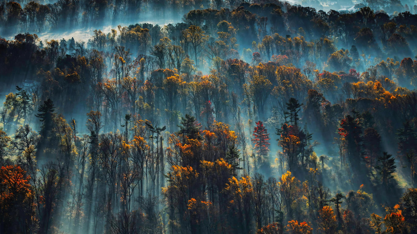 Blau, Wasser, Baum, Atmosphäre, Sonnenlicht. Wallpaper in 1366x768 Resolution
