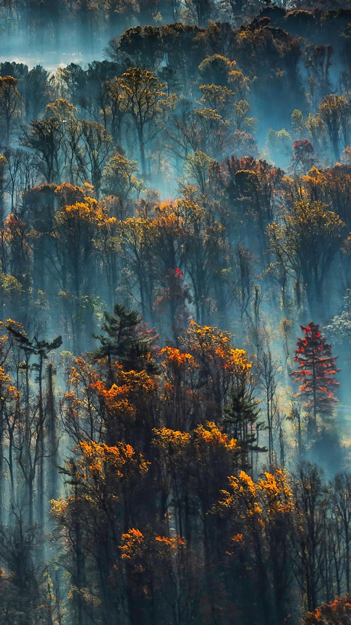 Blue, Water, Tree, Atmosphere, Sunlight. Wallpaper in 720x1280 Resolution