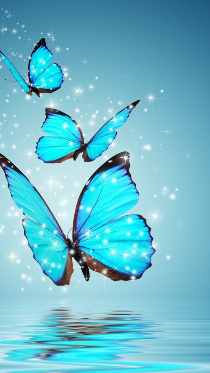 Blue and Black Butterfly Wings. Wallpaper in 720x1280 Resolution
