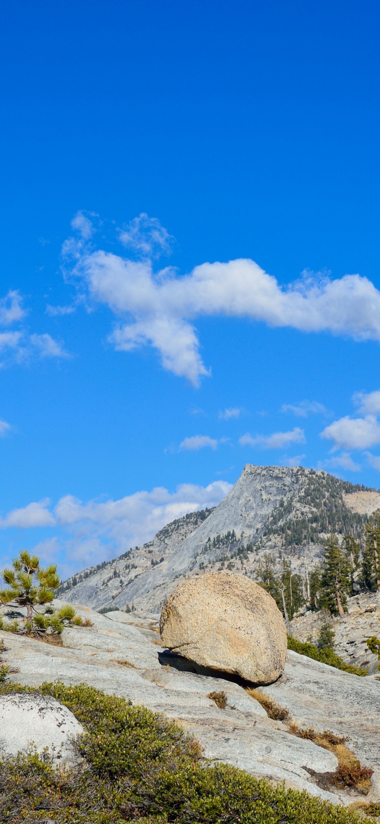 el Parque Nacional de Yosemite, el Valle de Yosemite, Parque, Montaña, Naturaleza. Wallpaper in 1242x2688 Resolution