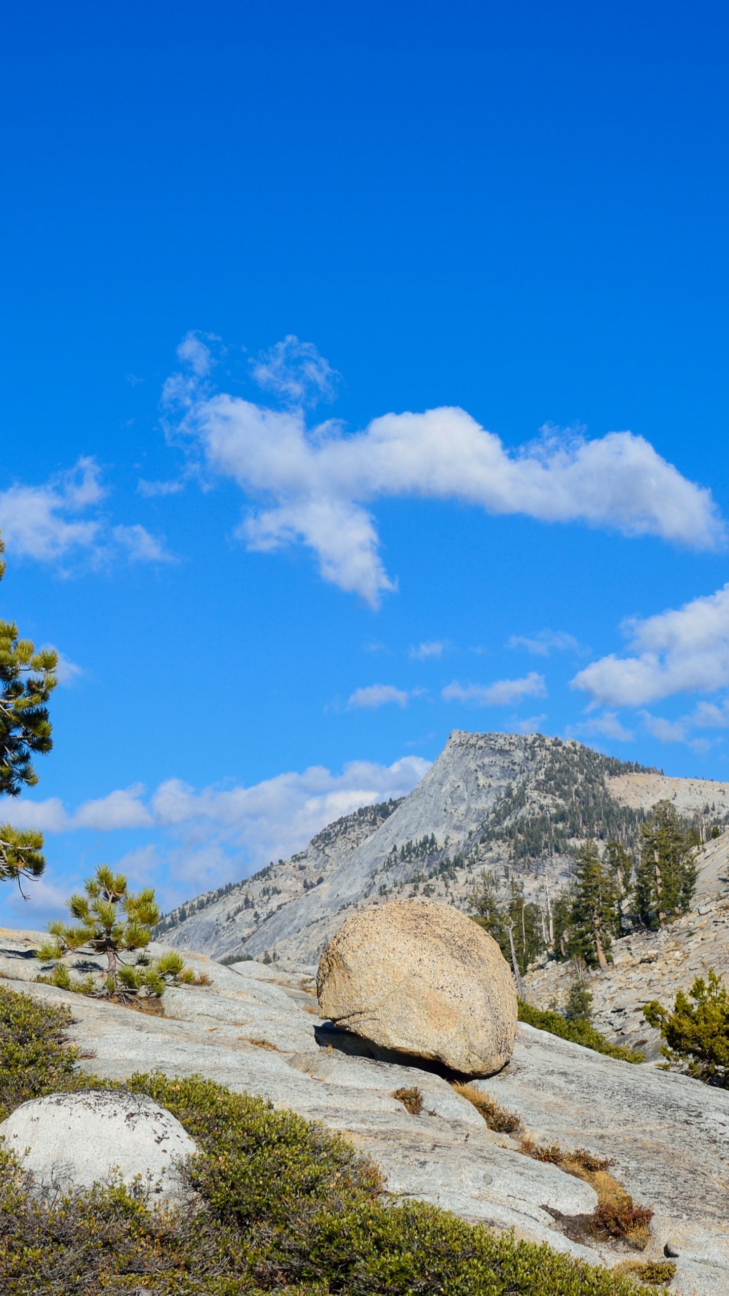 el Parque Nacional de Yosemite, el Valle de Yosemite, Parque, Montaña, Naturaleza. Wallpaper in 1440x2560 Resolution