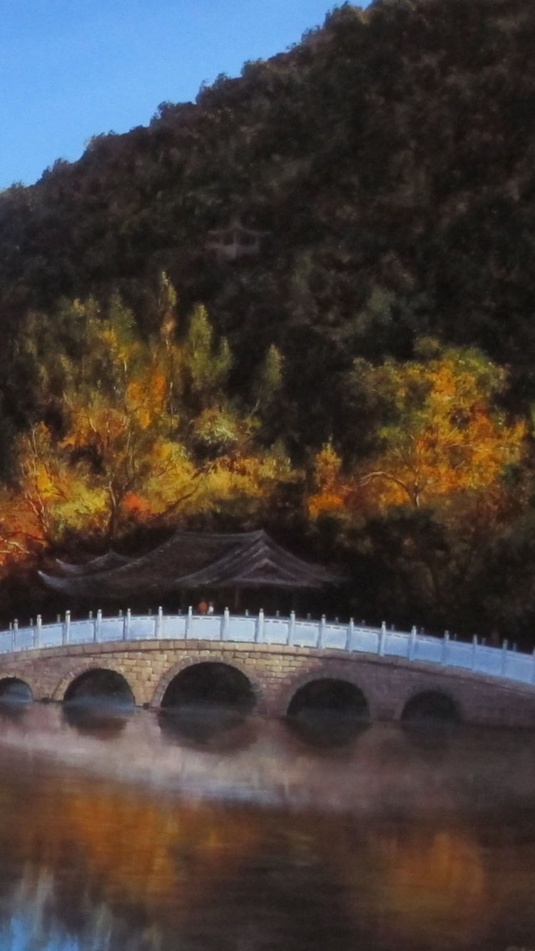 阿尔卑斯山, 反射, 性质, 荒野, 多山的地貌 壁纸 750x1334 允许