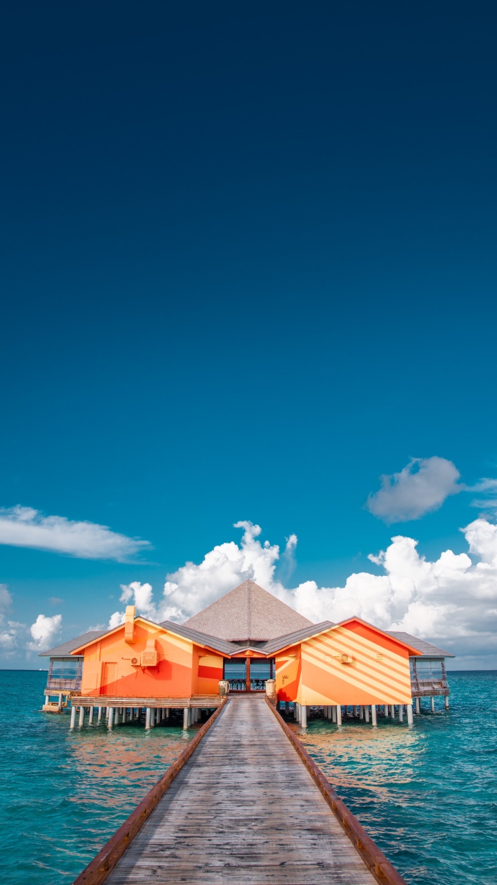 大海, 海洋, 水上, 地平线, 夏天 壁纸 720x1280 允许