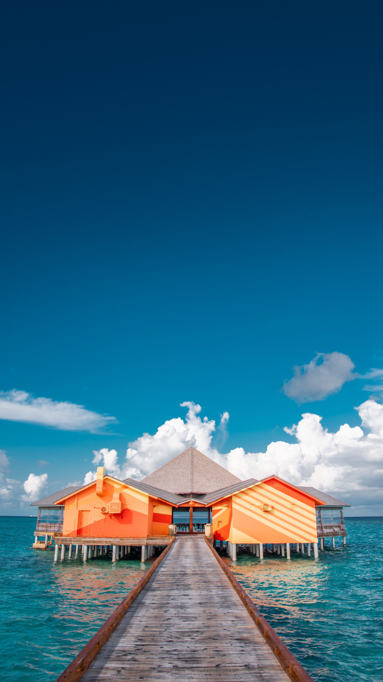 大海, 海洋, 水上, 地平线, 夏天 壁纸 750x1334 允许
