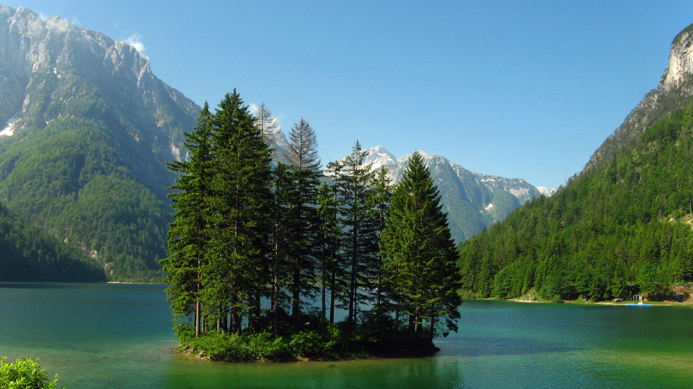 Pinos Verdes Cerca Del Lago y la Cordillera. Wallpaper in 1366x768 Resolution