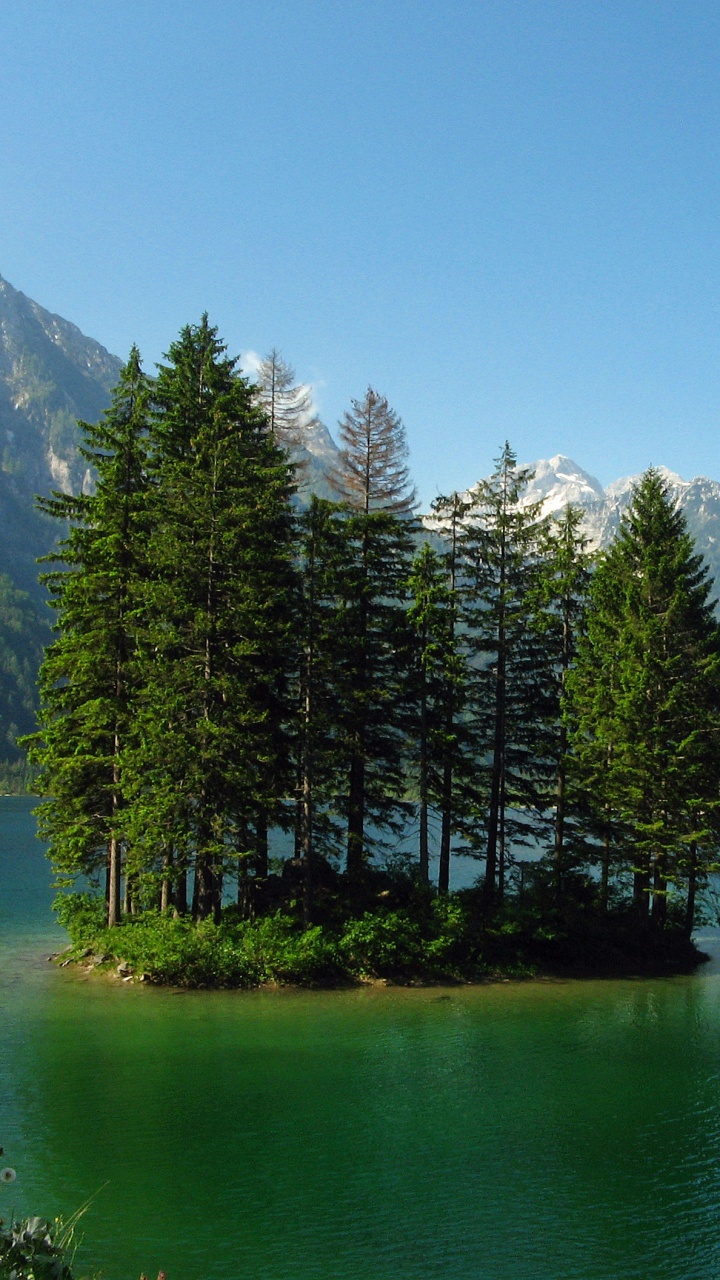 Green Pine Trees Near Lake and Mountain Range. Wallpaper in 720x1280 Resolution