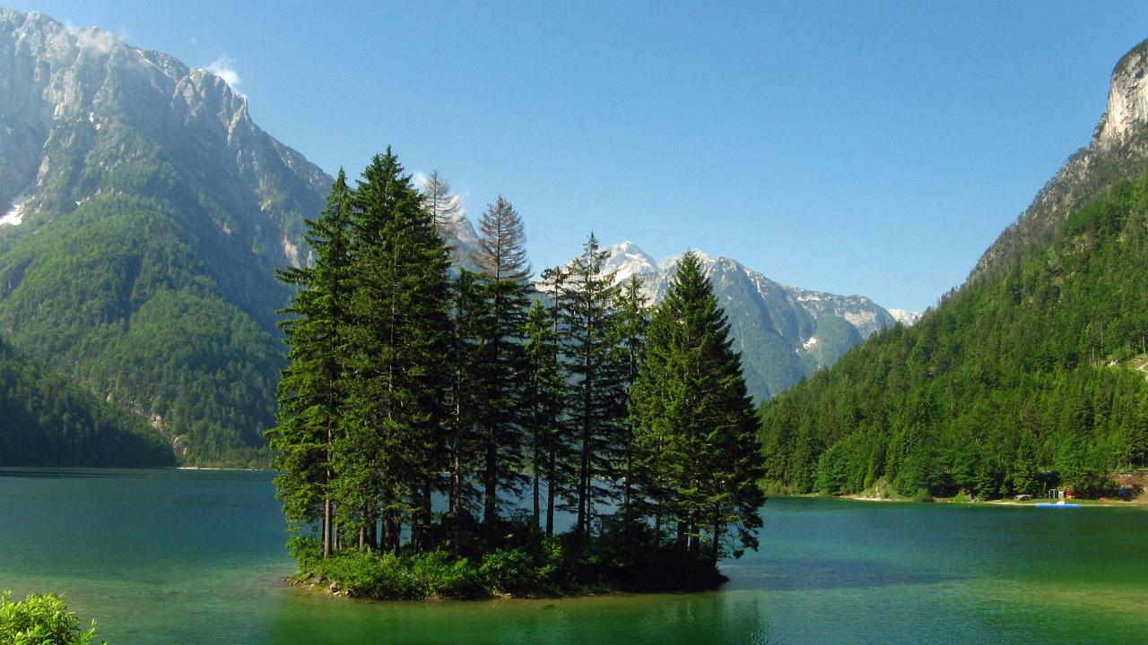 Grüne Pinien in Der Nähe Von See Und Bergkette. Wallpaper in 1280x720 Resolution