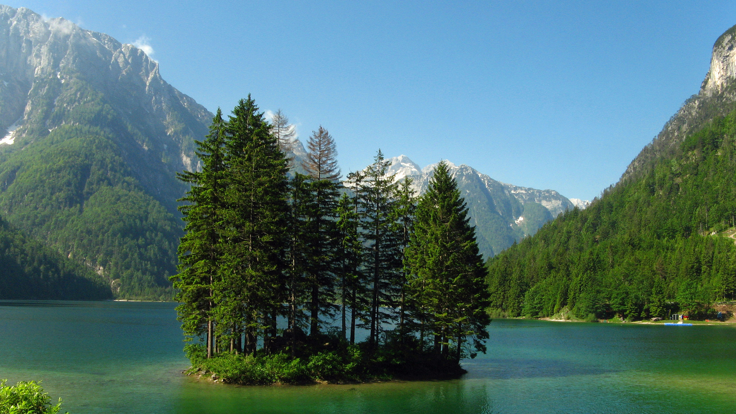 Grüne Pinien in Der Nähe Von See Und Bergkette. Wallpaper in 2560x1440 Resolution