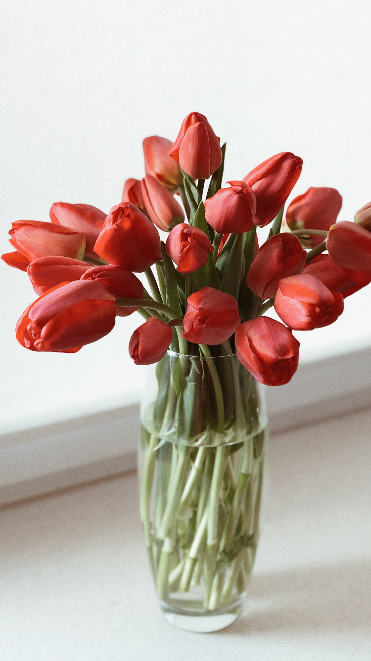 Les Fleurs Coupées, Design Floral, la Floraison de la Plante, Vase, Tulip. Wallpaper in 750x1334 Resolution