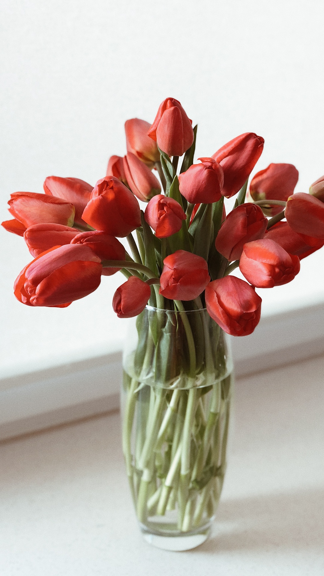 Schnittblumen, Blumenmuster, Blühende Pflanze, Vase, Tulip. Wallpaper in 1080x1920 Resolution