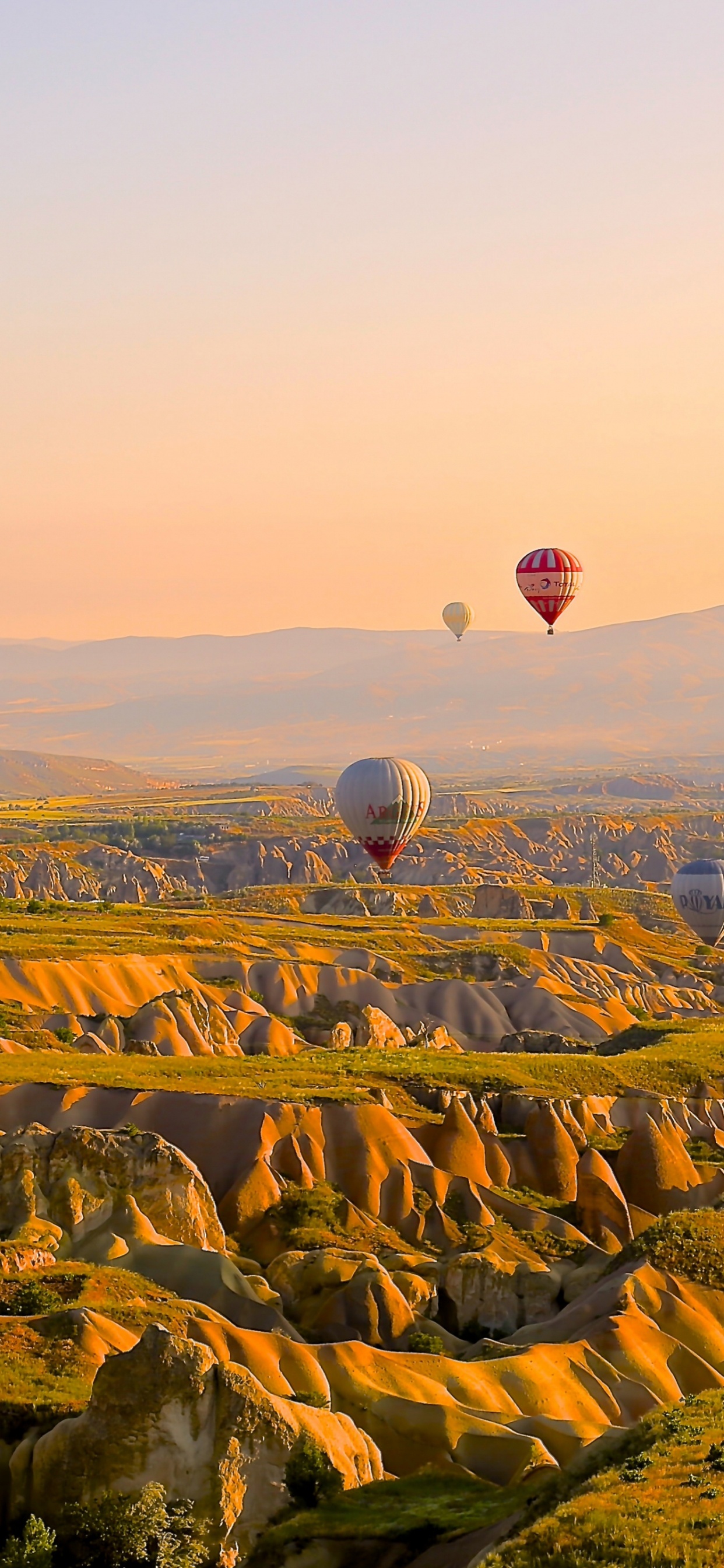 Heißluftballon, Flug, Ballon, Greme, Hot Air Ballooning. Wallpaper in 1242x2688 Resolution