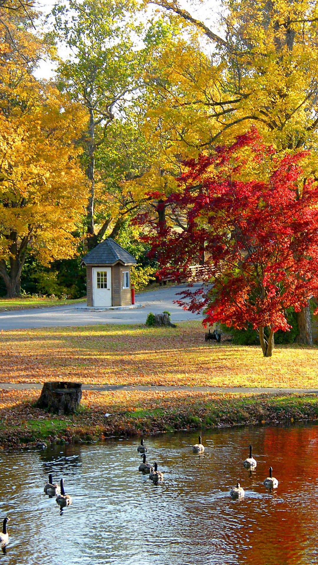 White and Brown House Near Green Trees and River During Daytime. Wallpaper in 1080x1920 Resolution