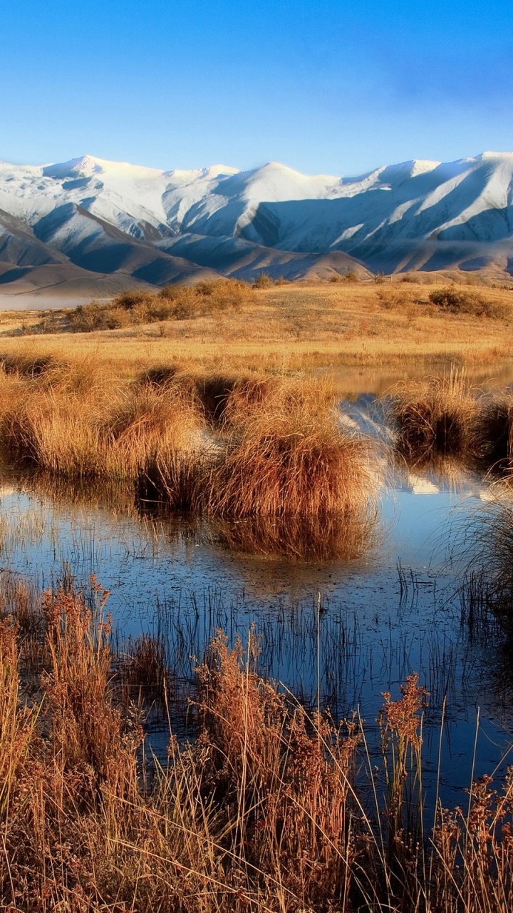 Brown Grass Near Lake and Snow Covered Mountains During Daytime. Wallpaper in 720x1280 Resolution