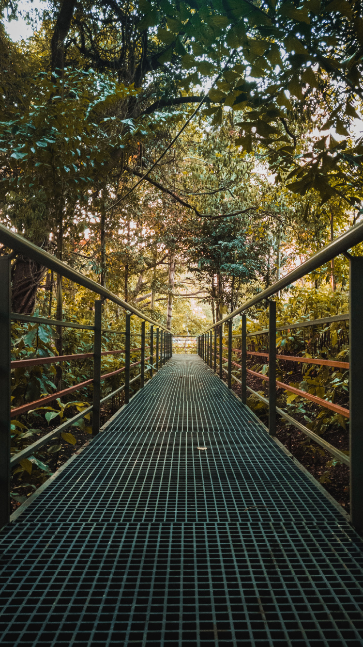 Braune Holzbrücke Umgeben Von Bäumen. Wallpaper in 750x1334 Resolution