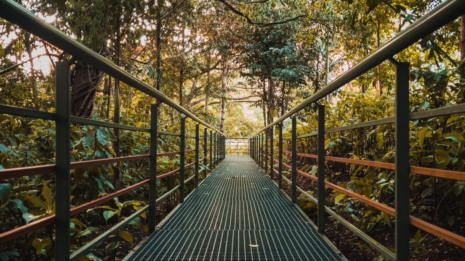 Pont en Bois Brun Entouré D'arbres. Wallpaper in 1920x1080 Resolution