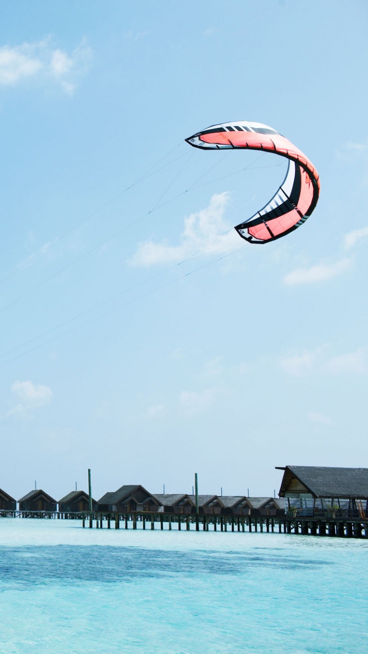 People Swimming on Beach During Daytime. Wallpaper in 720x1280 Resolution