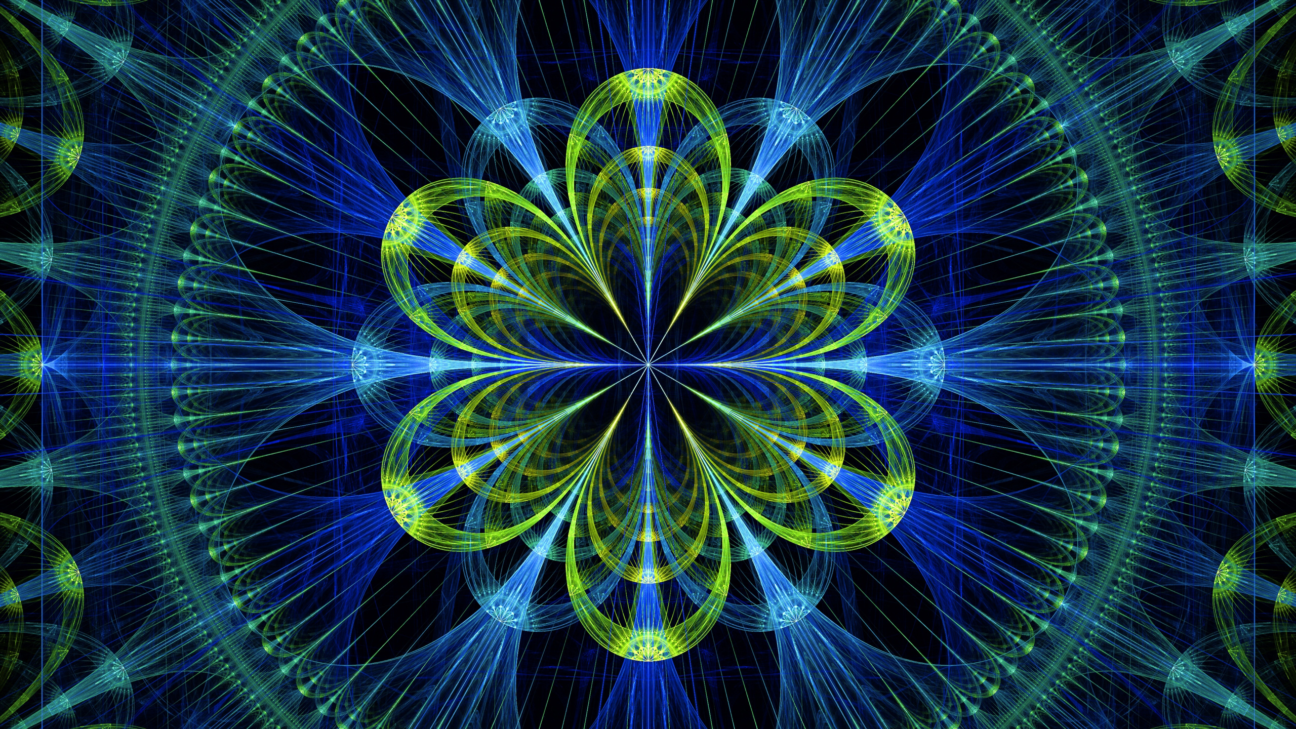 Luz Amarilla y Azul en la Fotografía de Lapso de Tiempo.. Wallpaper in 2560x1440 Resolution