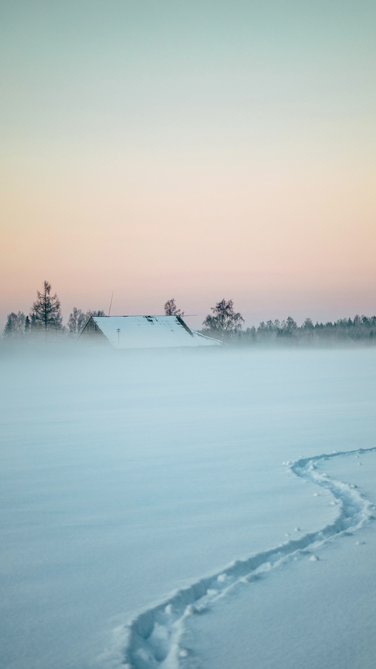 Horizont, Wasser, Wasserressourcen, Cloud, Naturlandschaft. Wallpaper in 750x1334 Resolution