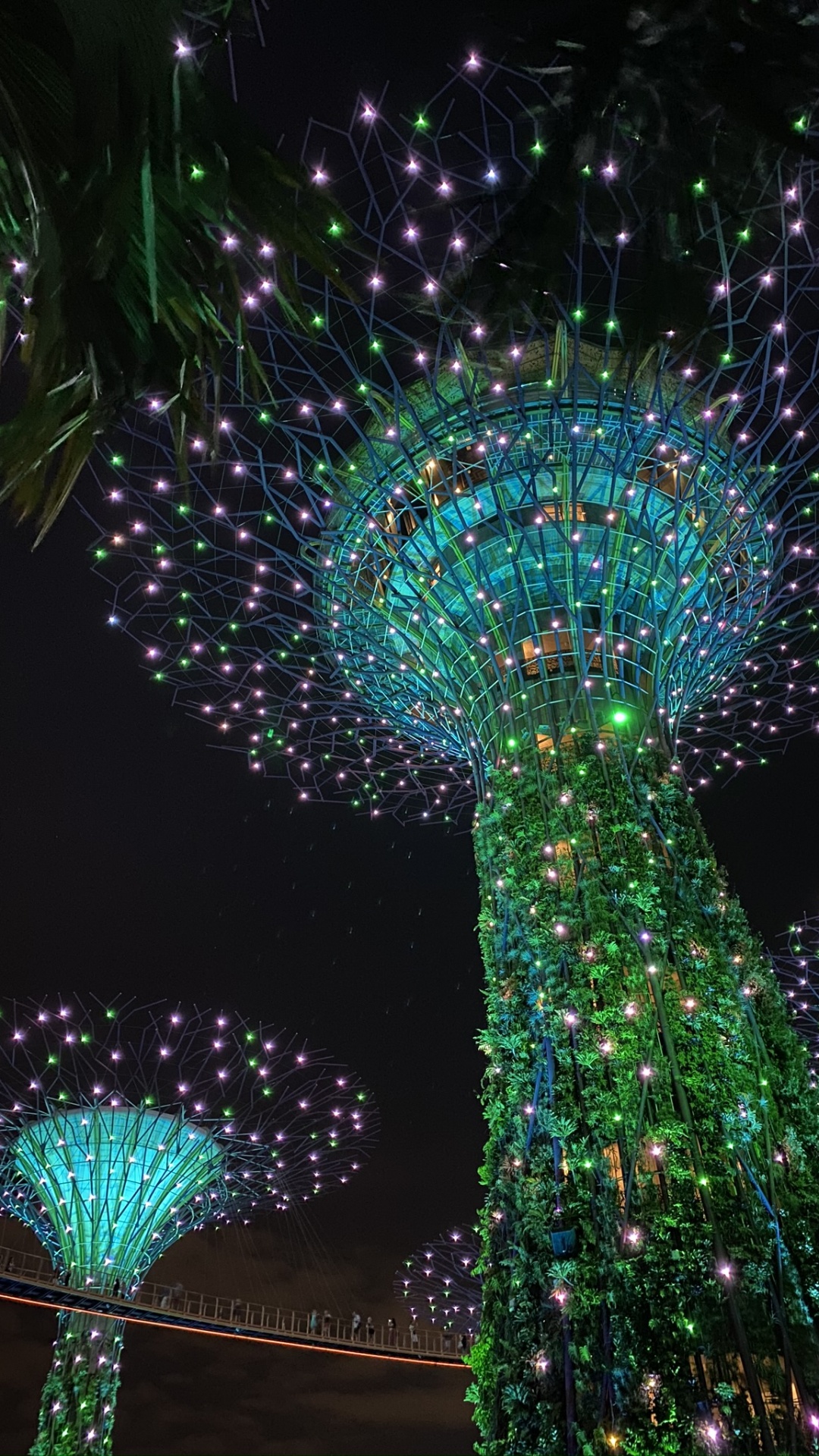 Singapur, Luz, Luces de Navidad, Verde, Decoración de la Navidad. Wallpaper in 1080x1920 Resolution