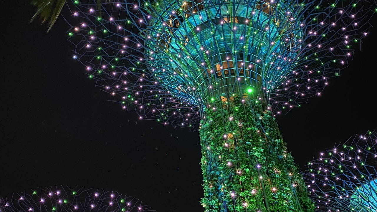 Singapur, Luz, Luces de Navidad, Verde, Decoración de la Navidad. Wallpaper in 1280x720 Resolution
