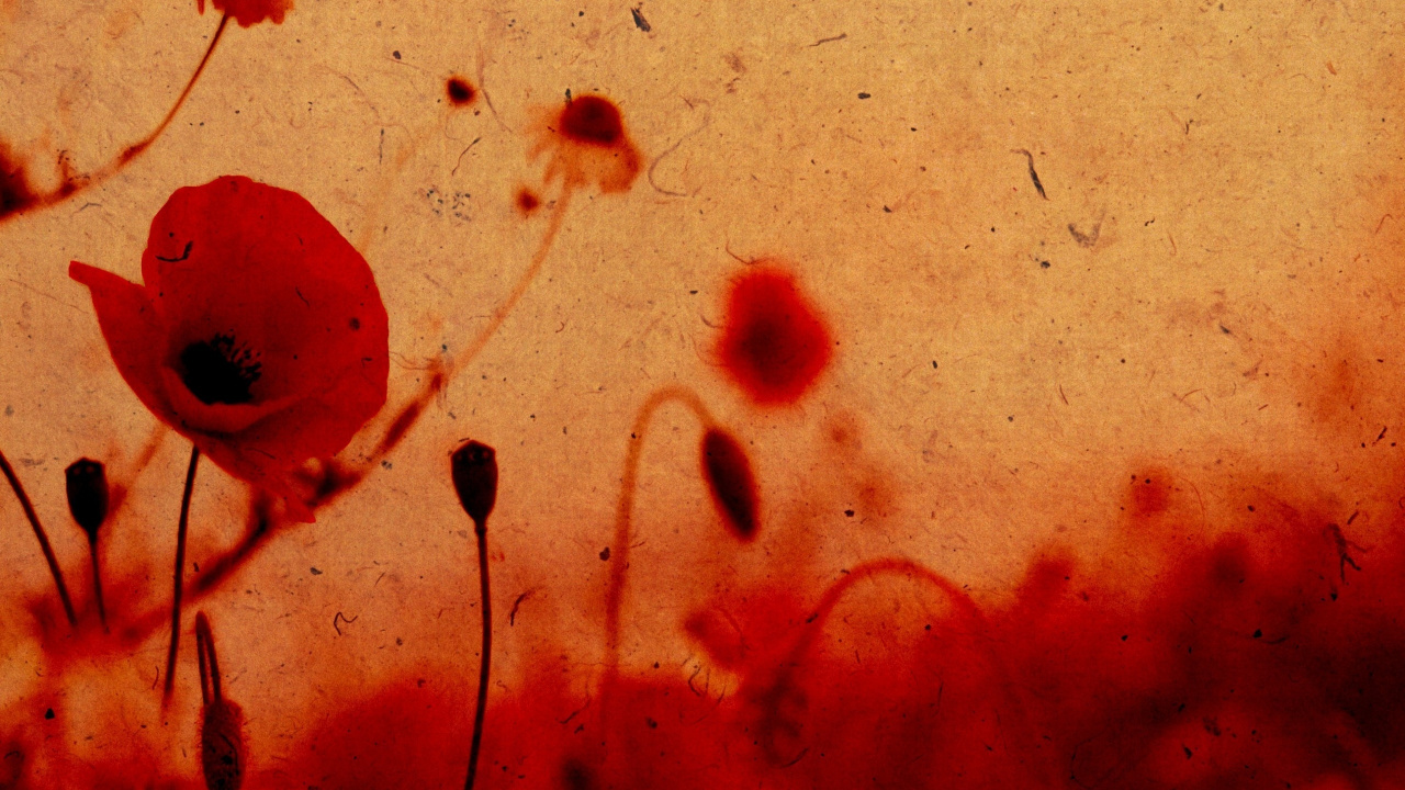 Red and Black Abstract Painting. Wallpaper in 1280x720 Resolution