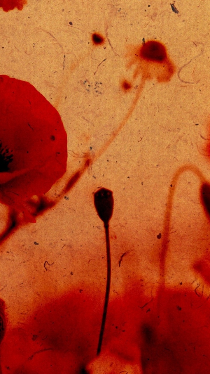 Peinture Abstraite Rouge et Noire. Wallpaper in 720x1280 Resolution