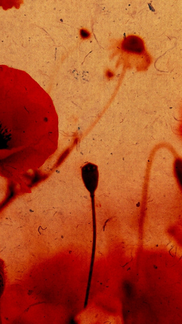 Peinture Abstraite Rouge et Noire. Wallpaper in 750x1334 Resolution