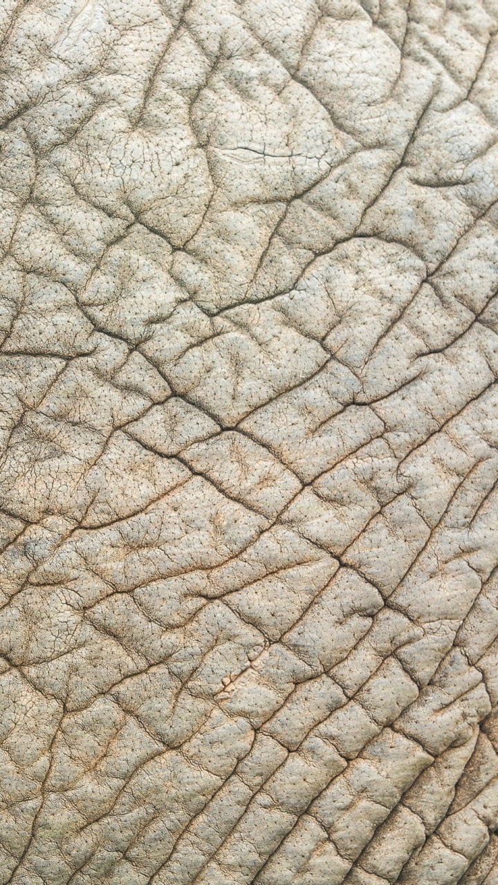 Textil Hoja Gris y Negro. Wallpaper in 720x1280 Resolution