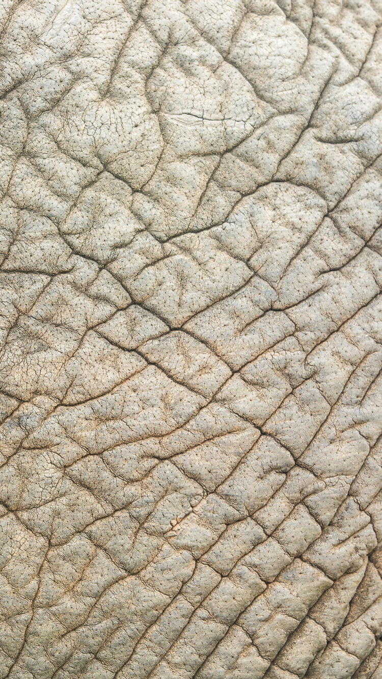 Textil Hoja Gris y Negro. Wallpaper in 750x1334 Resolution