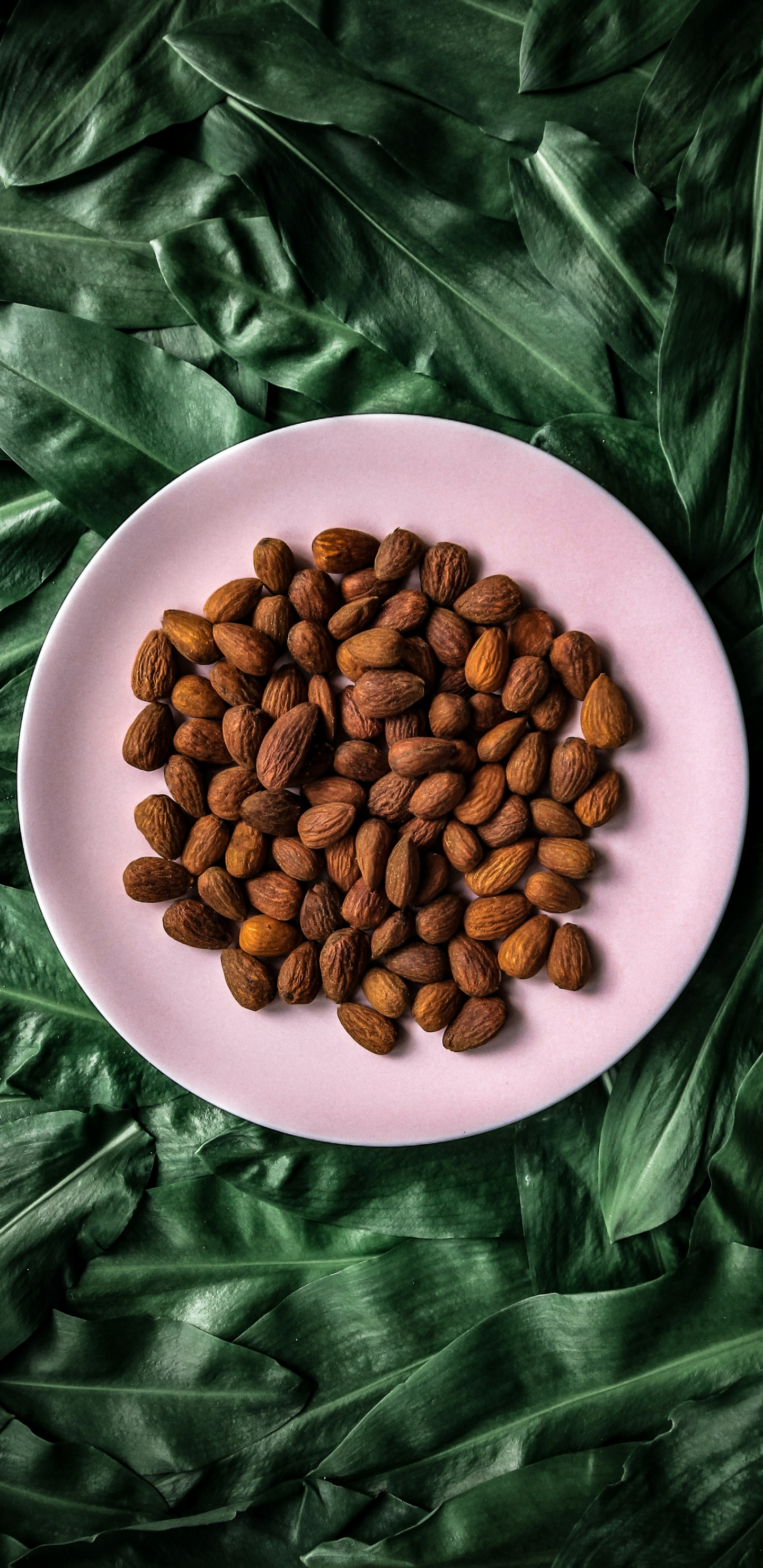 Nuez, Fedwell Senopati, Alimento, Solo Café de Origen, Ingrediente. Wallpaper in 1440x2960 Resolution